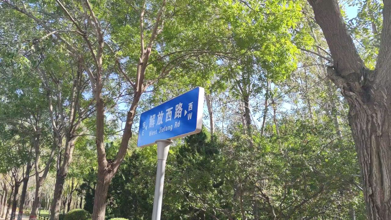 城市2