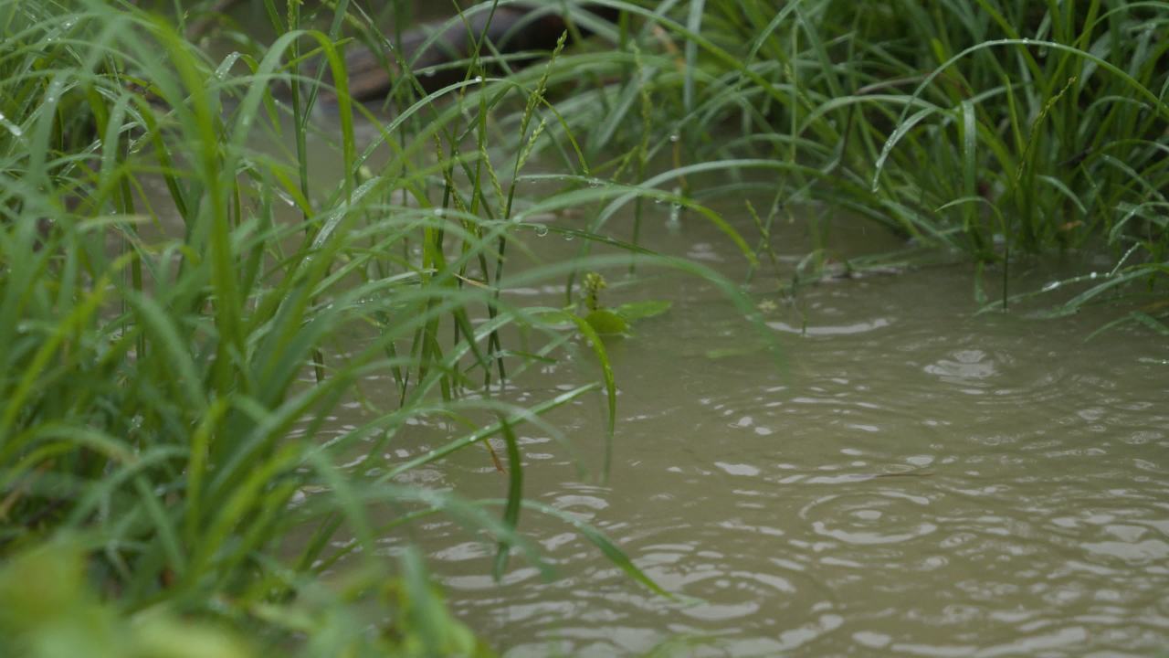 一天下雨水滴 11