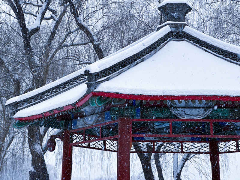 初雪 3