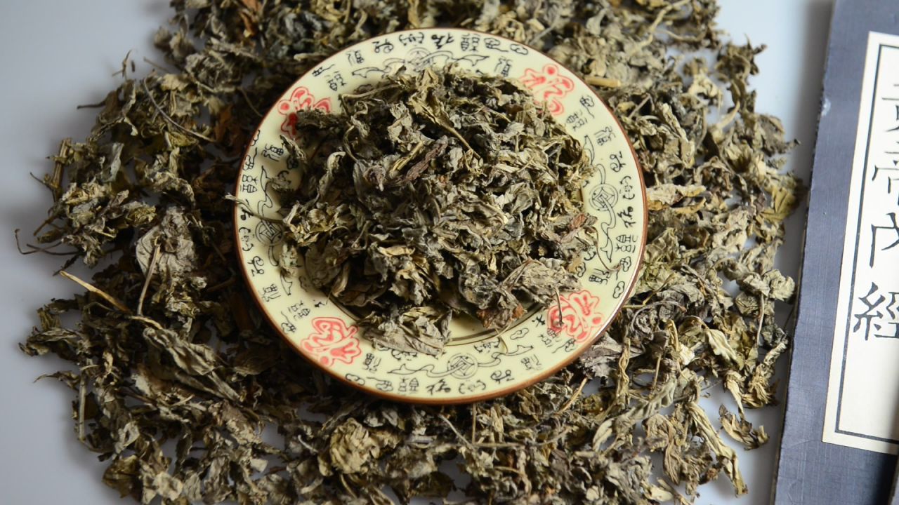 艾叶中草药 7