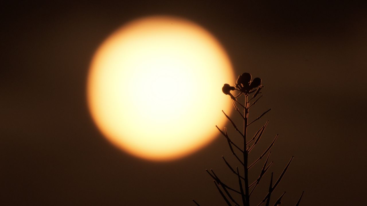 太阳日出日落夕阳逆光刺眼星芒
