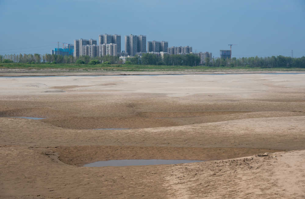 武汉天兴洲湿地