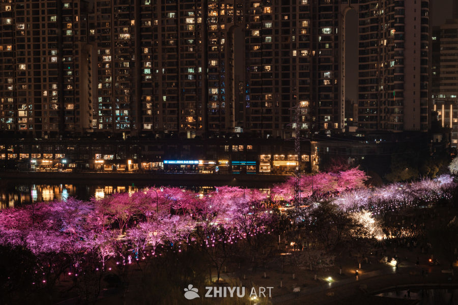 武汉西北湖樱花夜景
