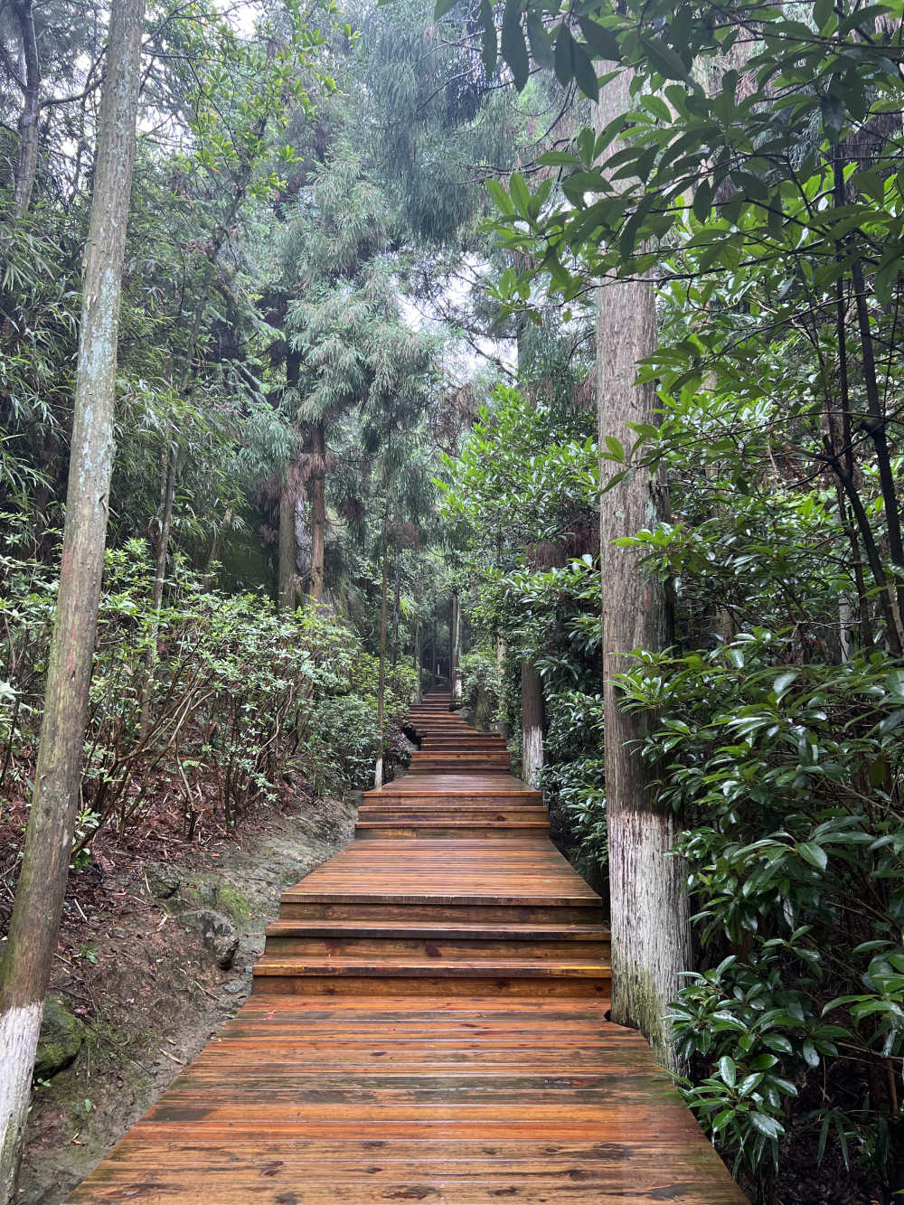 太姥山林间小路