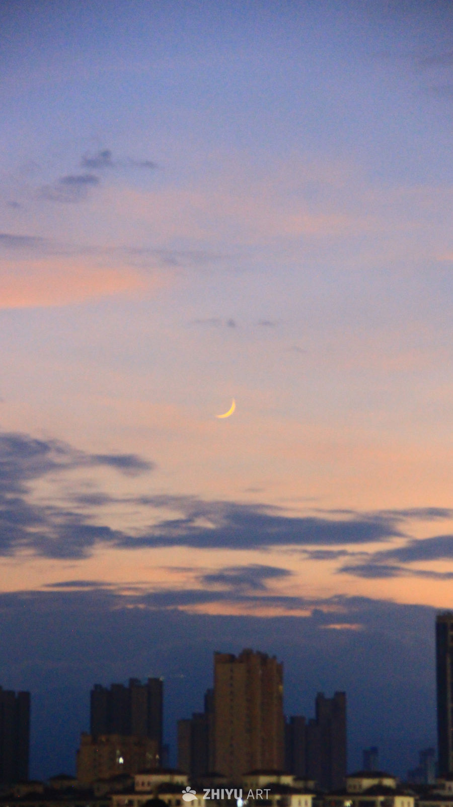 🌙