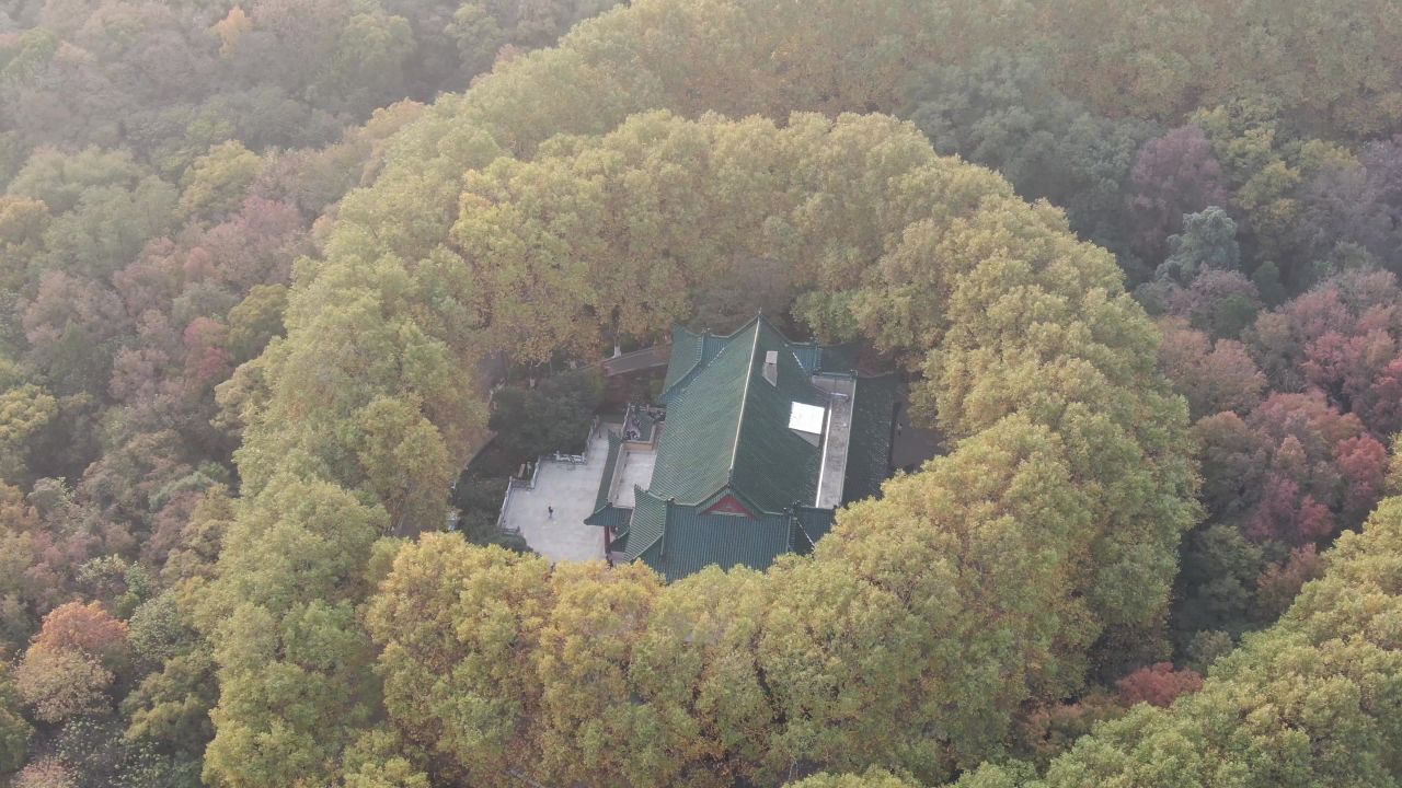 南京钟山秋天航拍