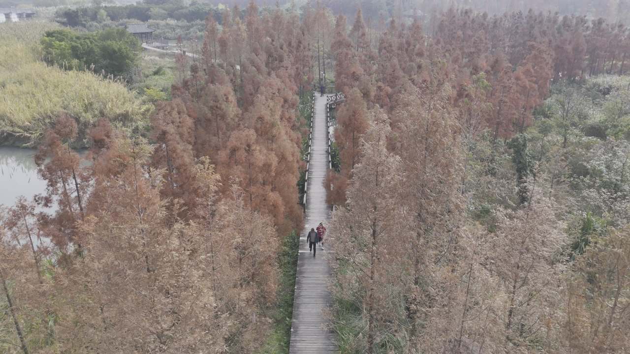 冬日的湿地 14