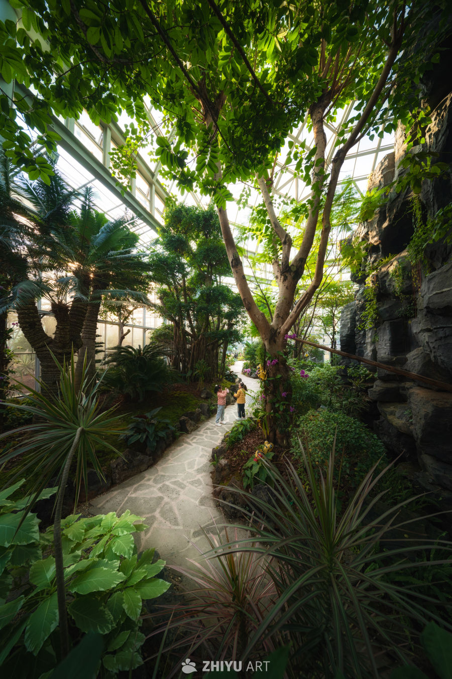 温室植物园，光影温馨 9