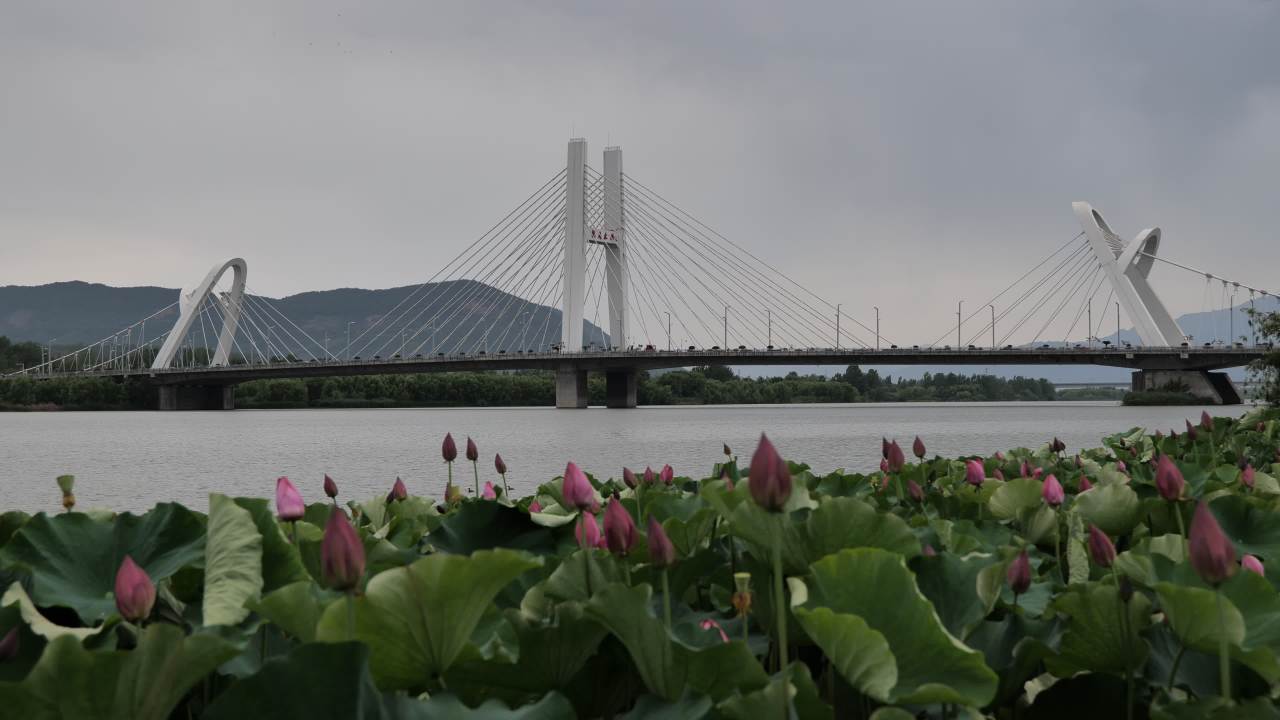 美丽的大桥 3