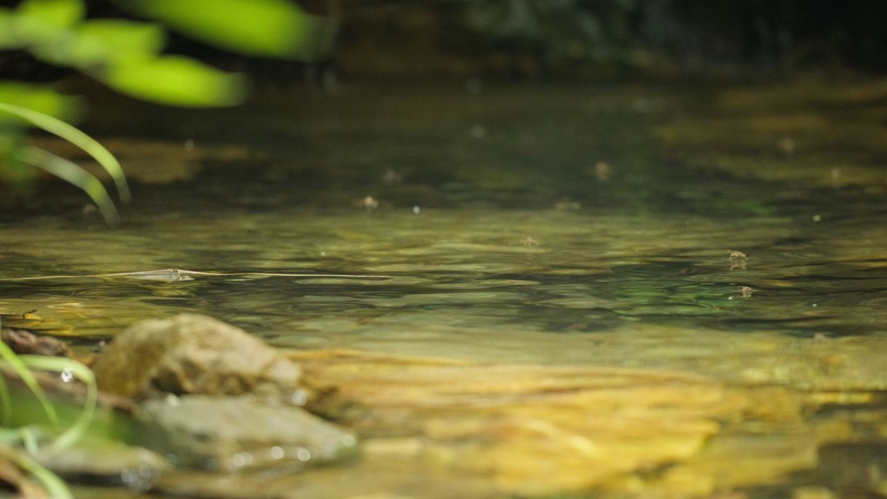 清澈山泉水温泉矿泉水小溪山涧 30