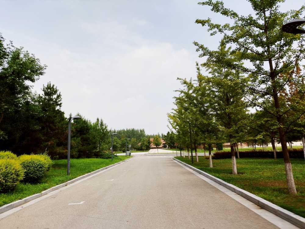 东北大学风景2