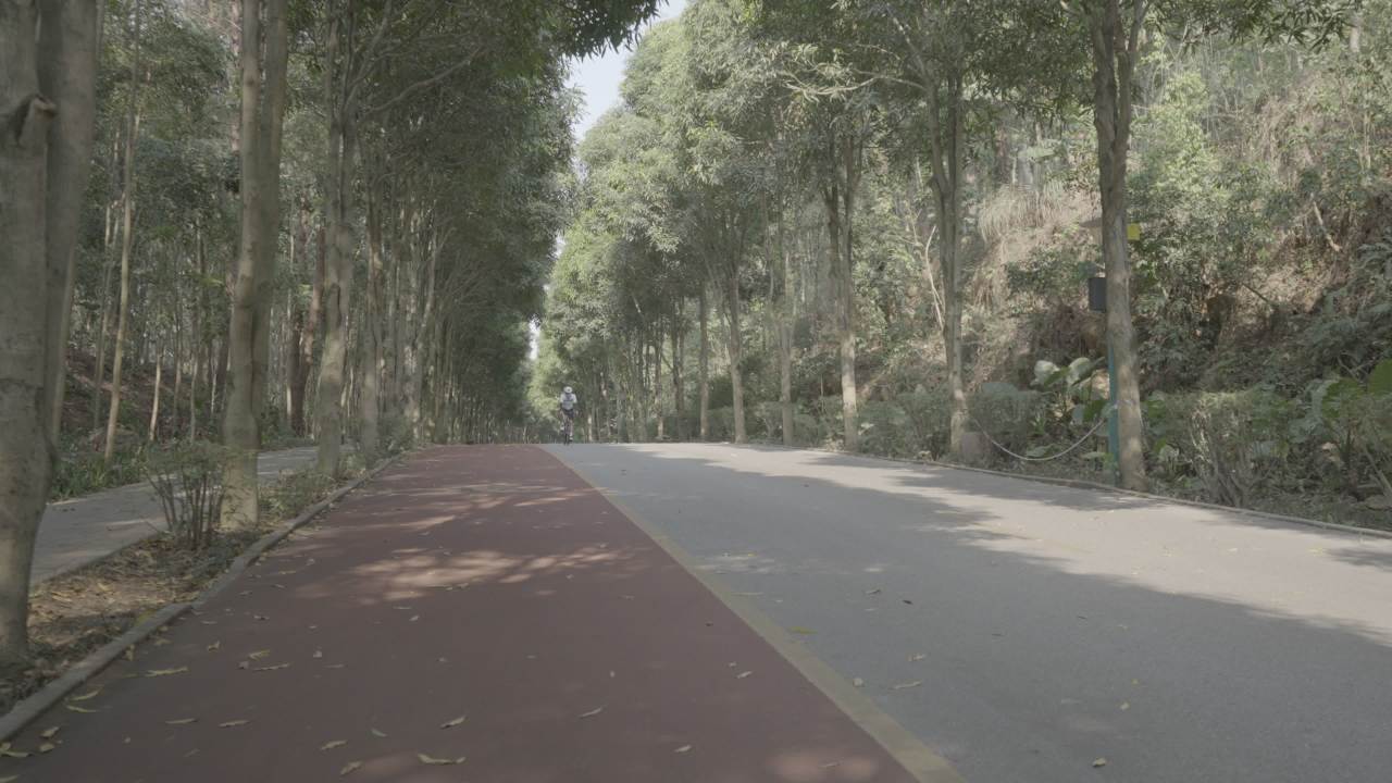 寺庙 7