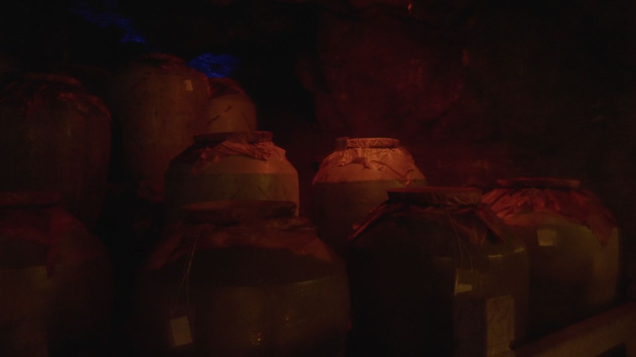 洞天盛境 12