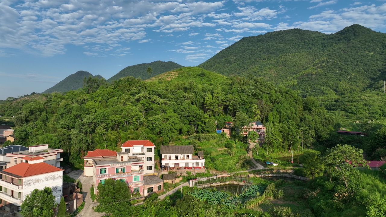 农村 8