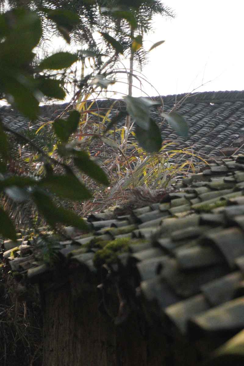 瓦片2