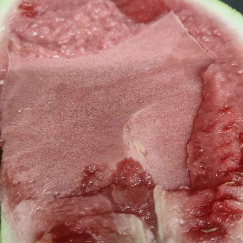 夏天的味道