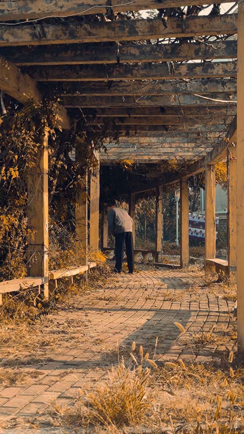 无题