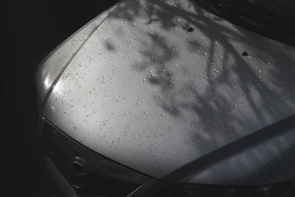 太阳雨后的汽车前盖