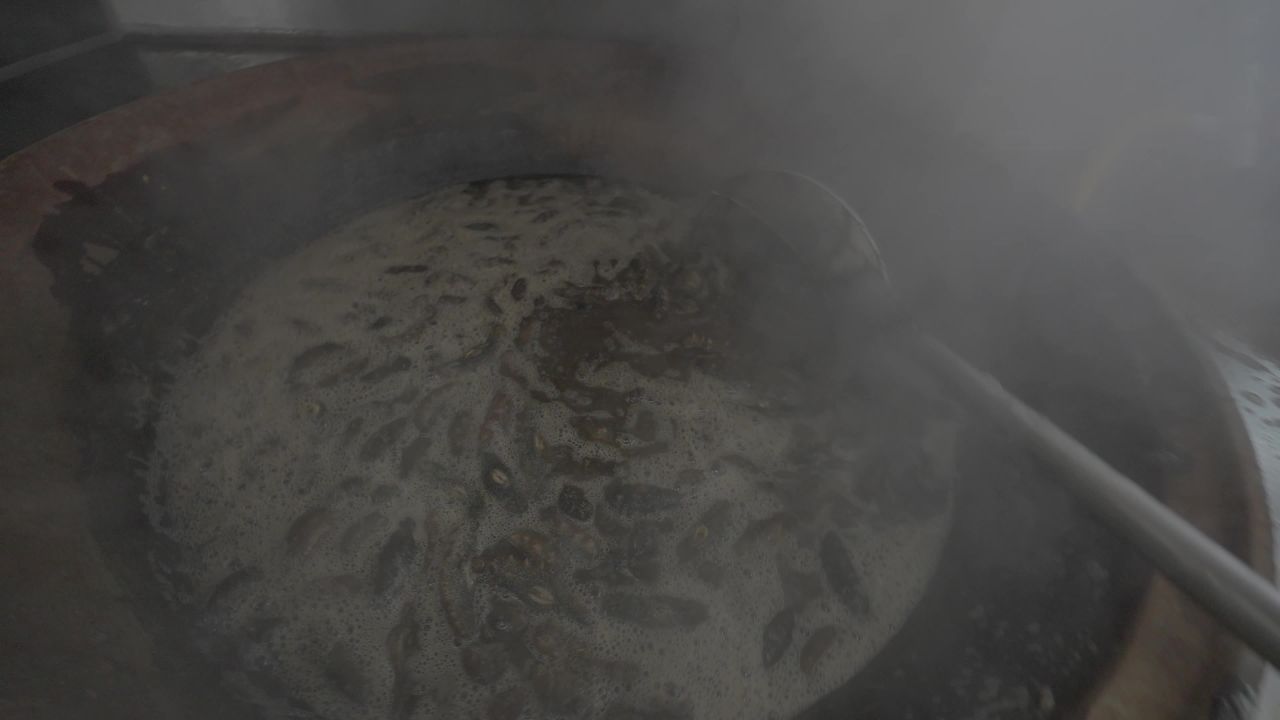 海参加工生产流水线