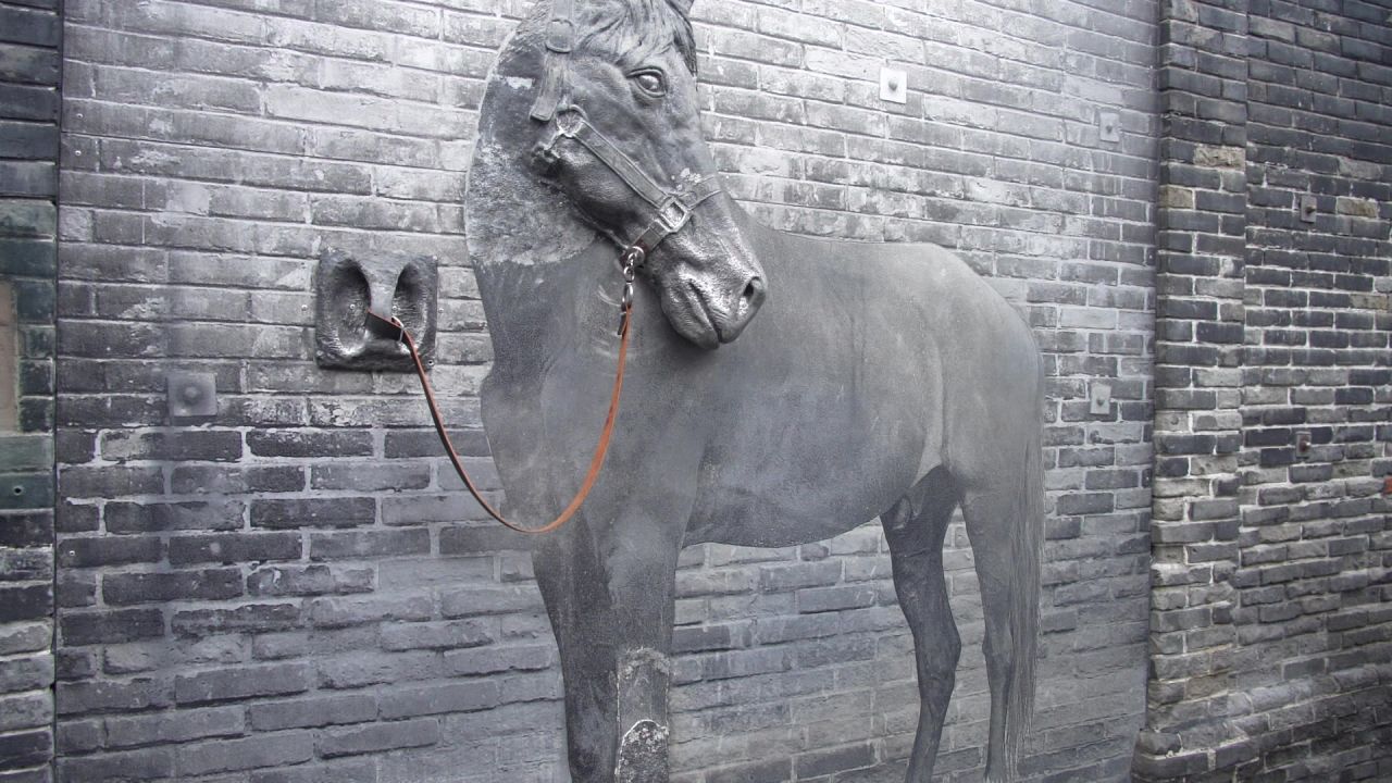 成都宽窄巷子city walk 1