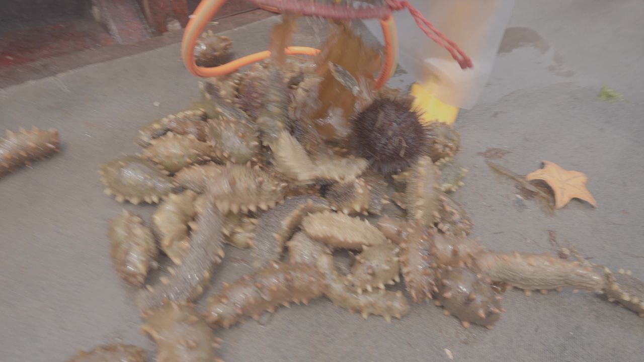 渔船捕捞海产现场