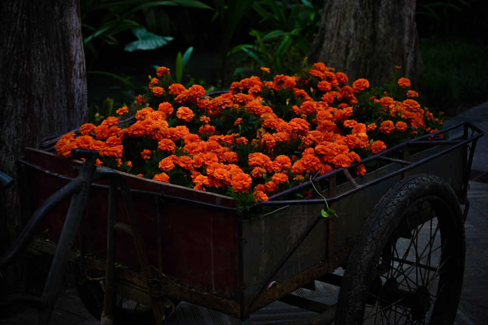 花