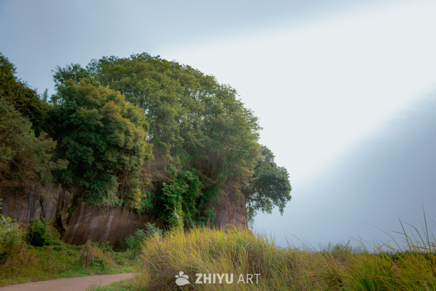 南矶山保护区临崖路段