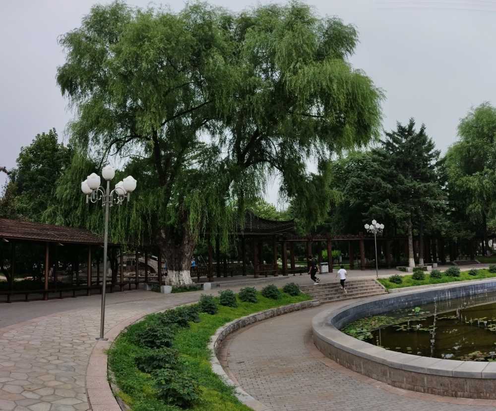 东北大学风景
