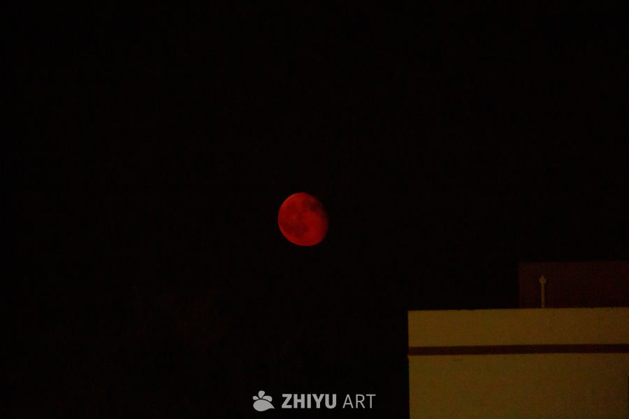 红月高悬夜空