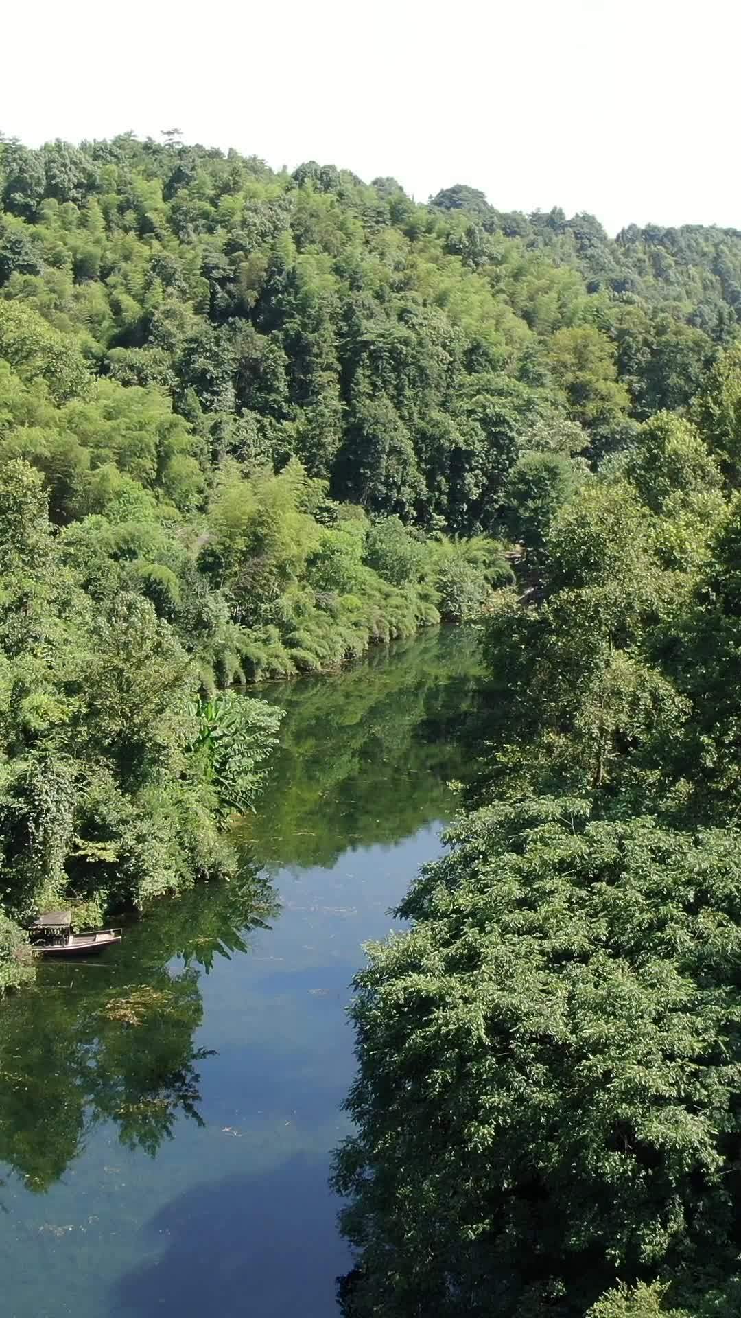 静谧的森林河流