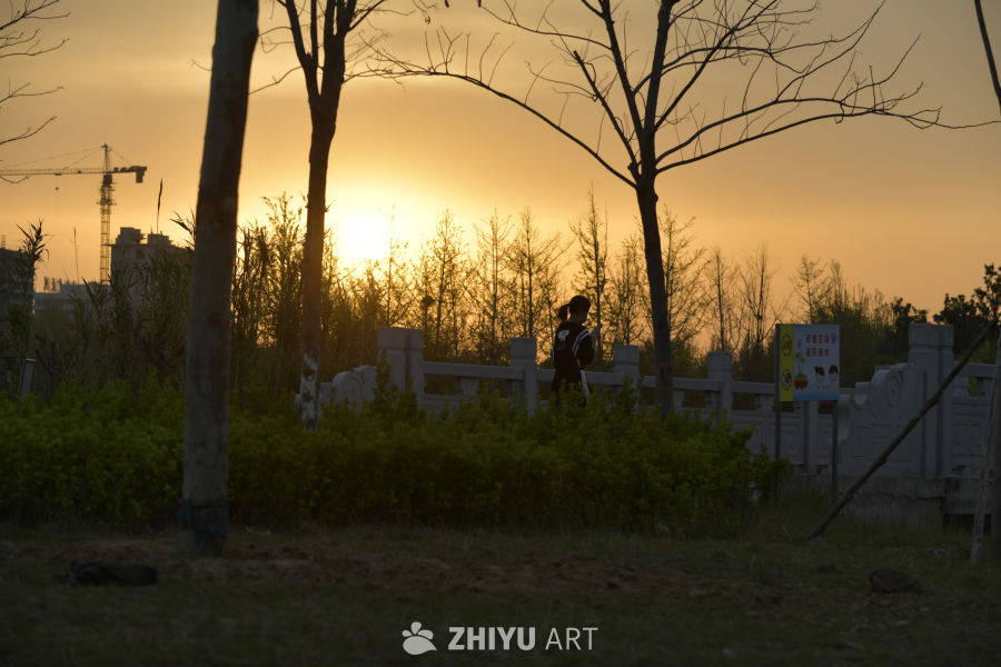 夕阳下的公园