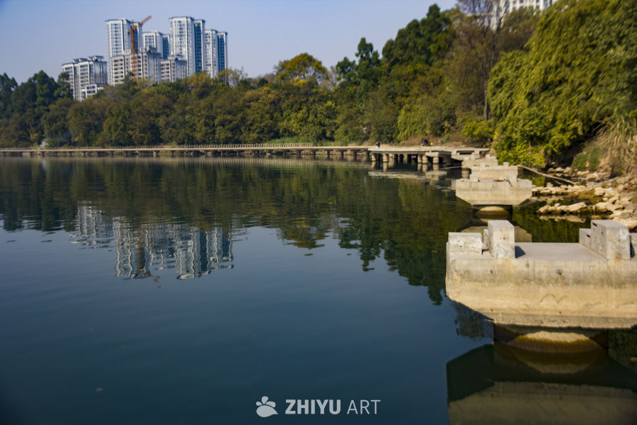 都市中的静谧湖泊