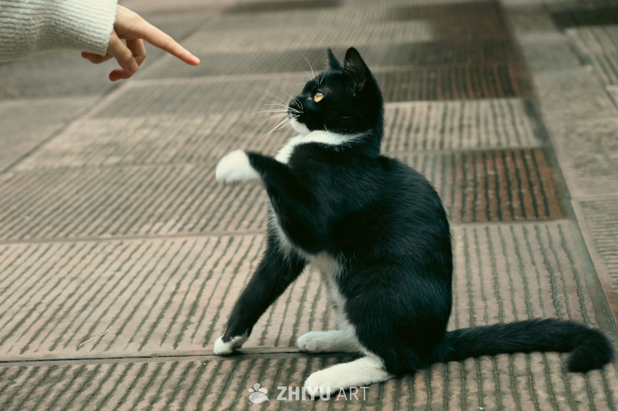 成都崇州一日游