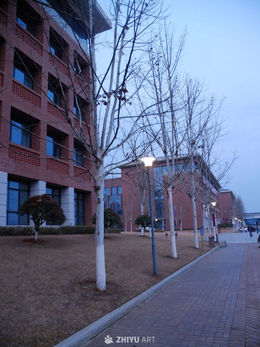 大学 15