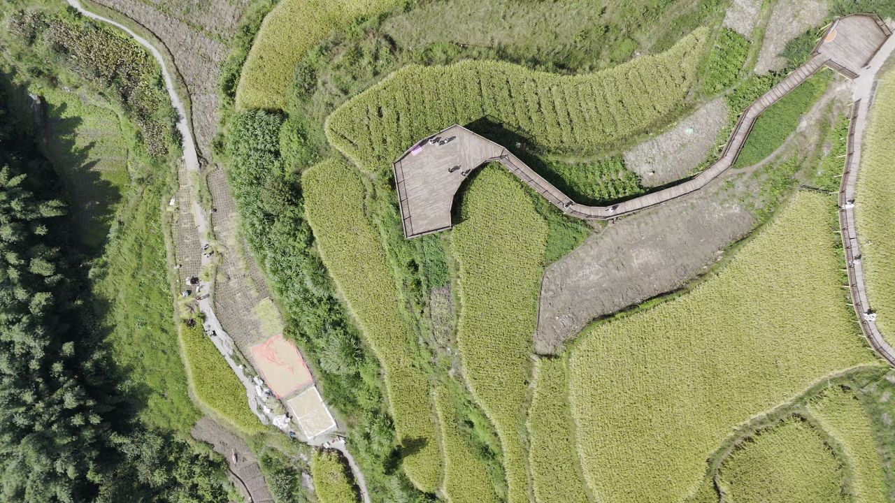 温州中雁荡山与梯田水稻 26