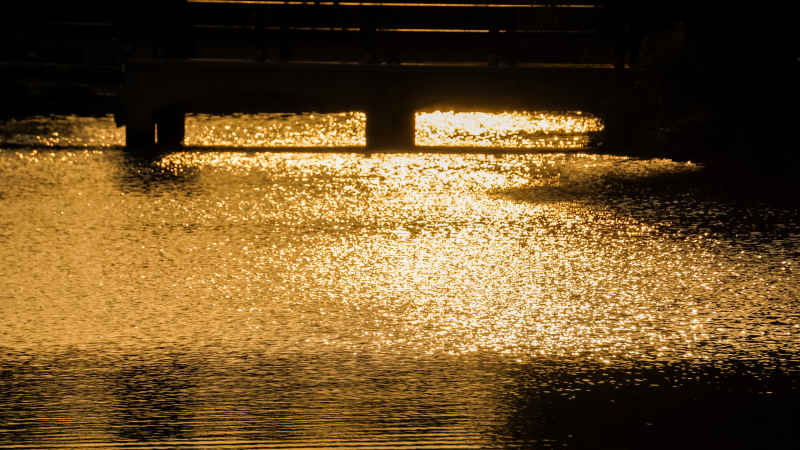 浮光跃金