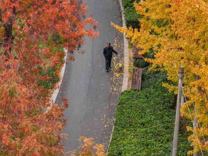 昆山道路上的秋冬景色 17