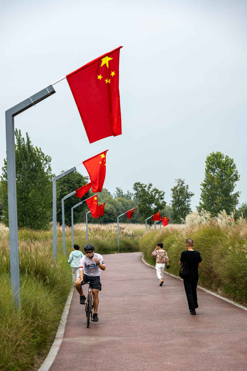 喜迎国庆 国庆 五星红旗迎风飘扬 人与自然 3