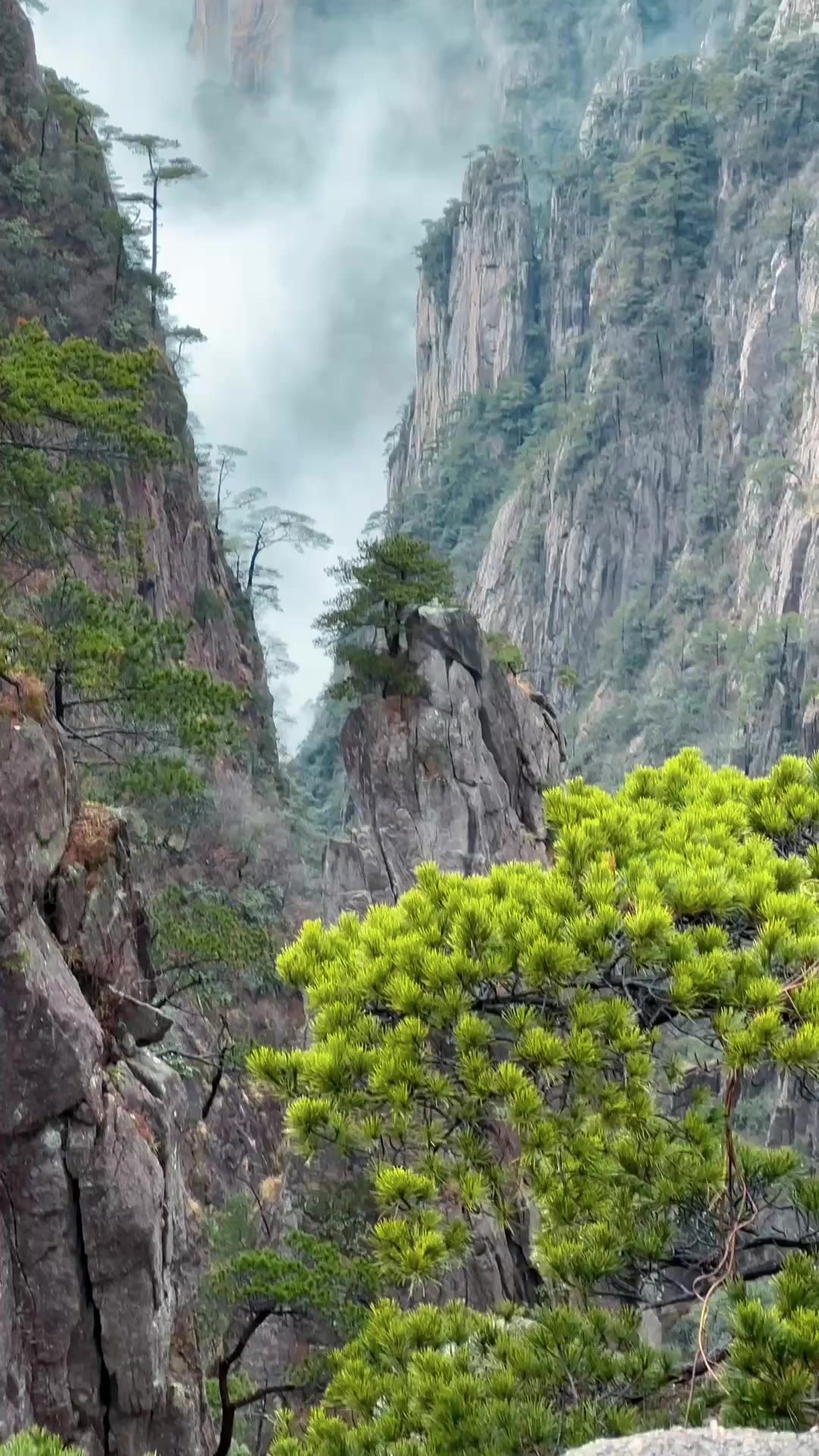 亲近大自然