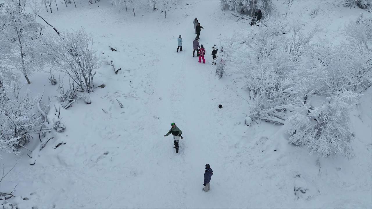 高山雾凇