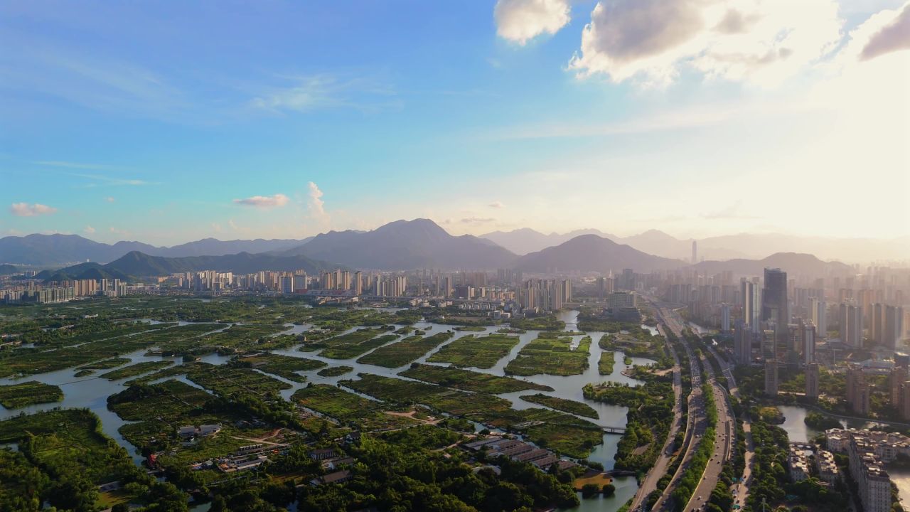 温州三垟湿地 16