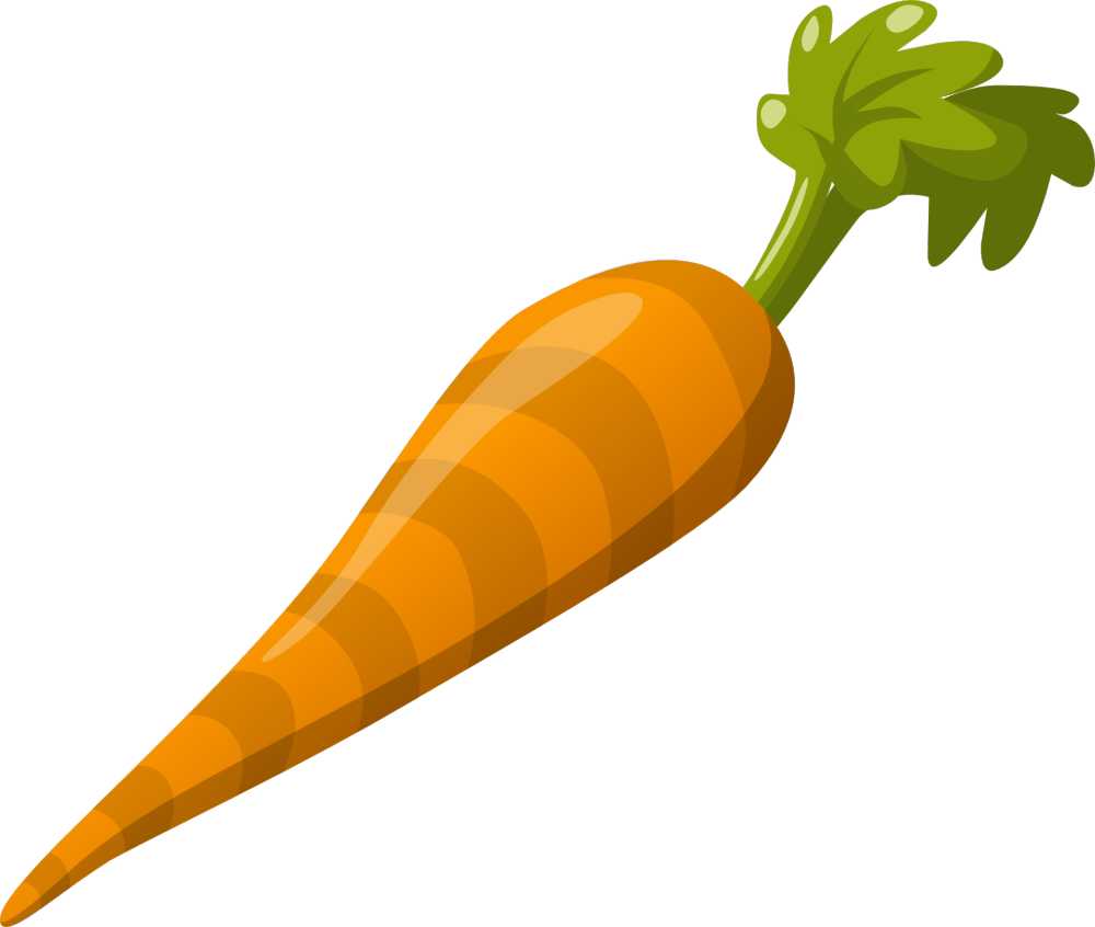 胡萝卜蔬菜食品新鲜健康有机素橙色根