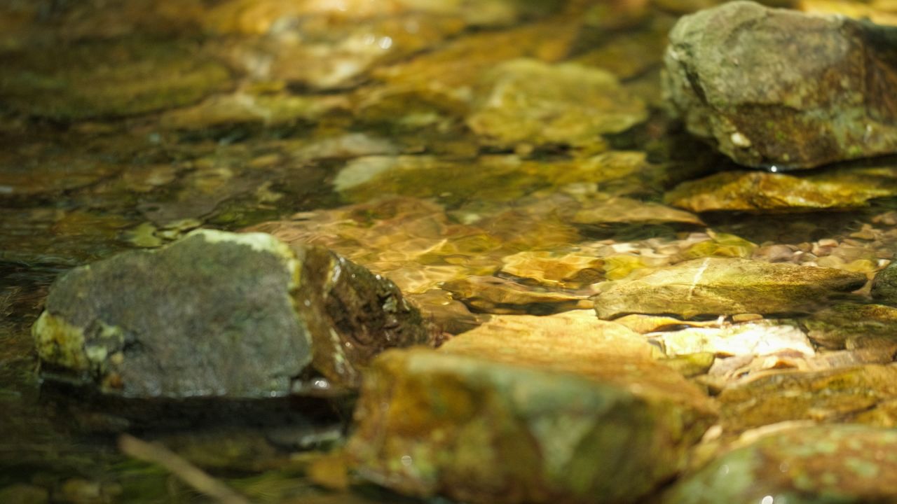 清澈山泉水温泉矿泉水小溪山涧 15