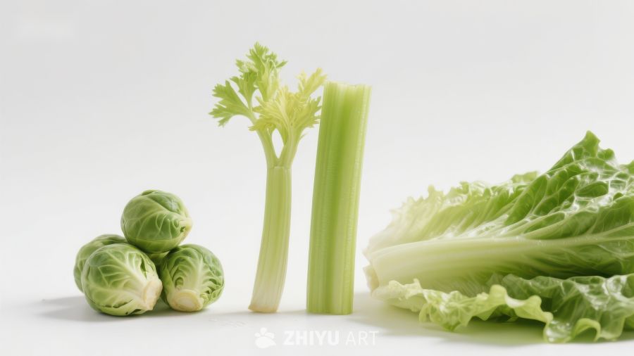 新鲜蔬菜组合：卷心菜、芹菜与抱子甘蓝
