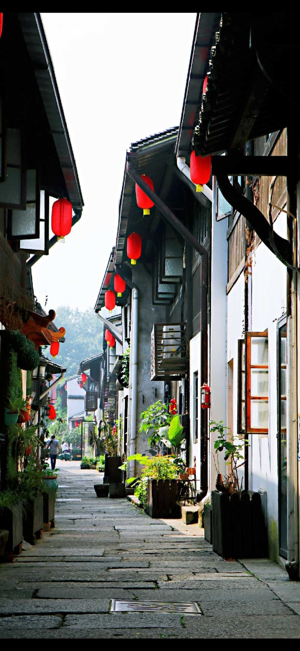 随手拍——街景
