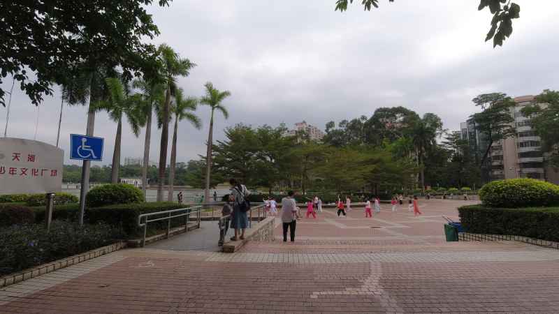 公园 15