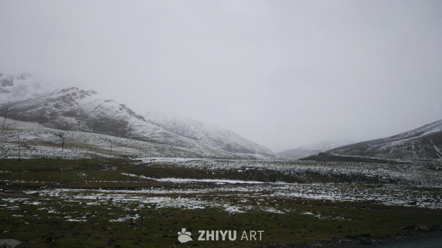 雪山下的草地