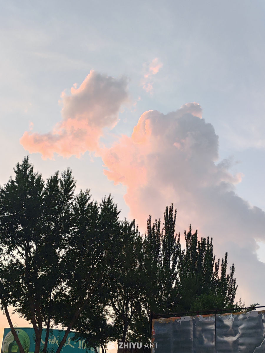 夕阳下的树影与云彩