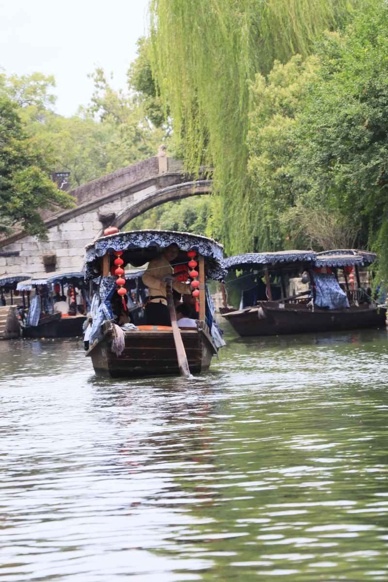 细草微风岸