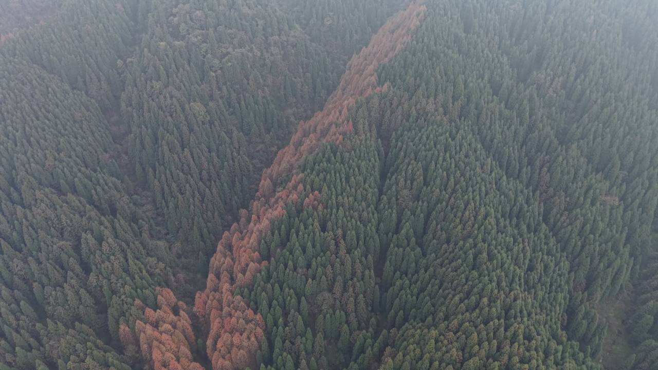 DJI_20251125133038_0024_D 9